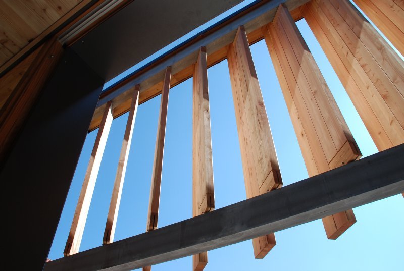 waldrast-2012-03-25_16